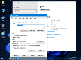 【YLX&Flibustier】Windows 10 19043.1110 x64 PRO 2021.7.15 汉化