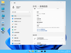 【YLX】Windows 11 22621.1 x64 PRO/ENTG 2022.5.19