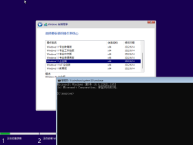 【YLX】Windows 11 22621.105 x64 MUTI 2022.6.15