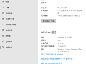 【YLX】Windows 10 19045.2075 PRO ARM64 2022.10.2