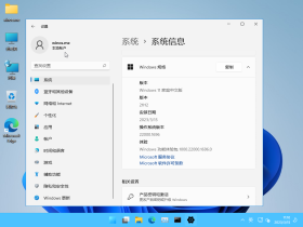 【YLX】Windows 11 22000.1696 x64 MUTI 2023.3.15