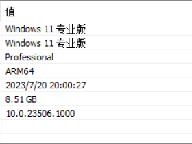 【XBZJ】Windows 11 Pro 23506.1000 Arm64